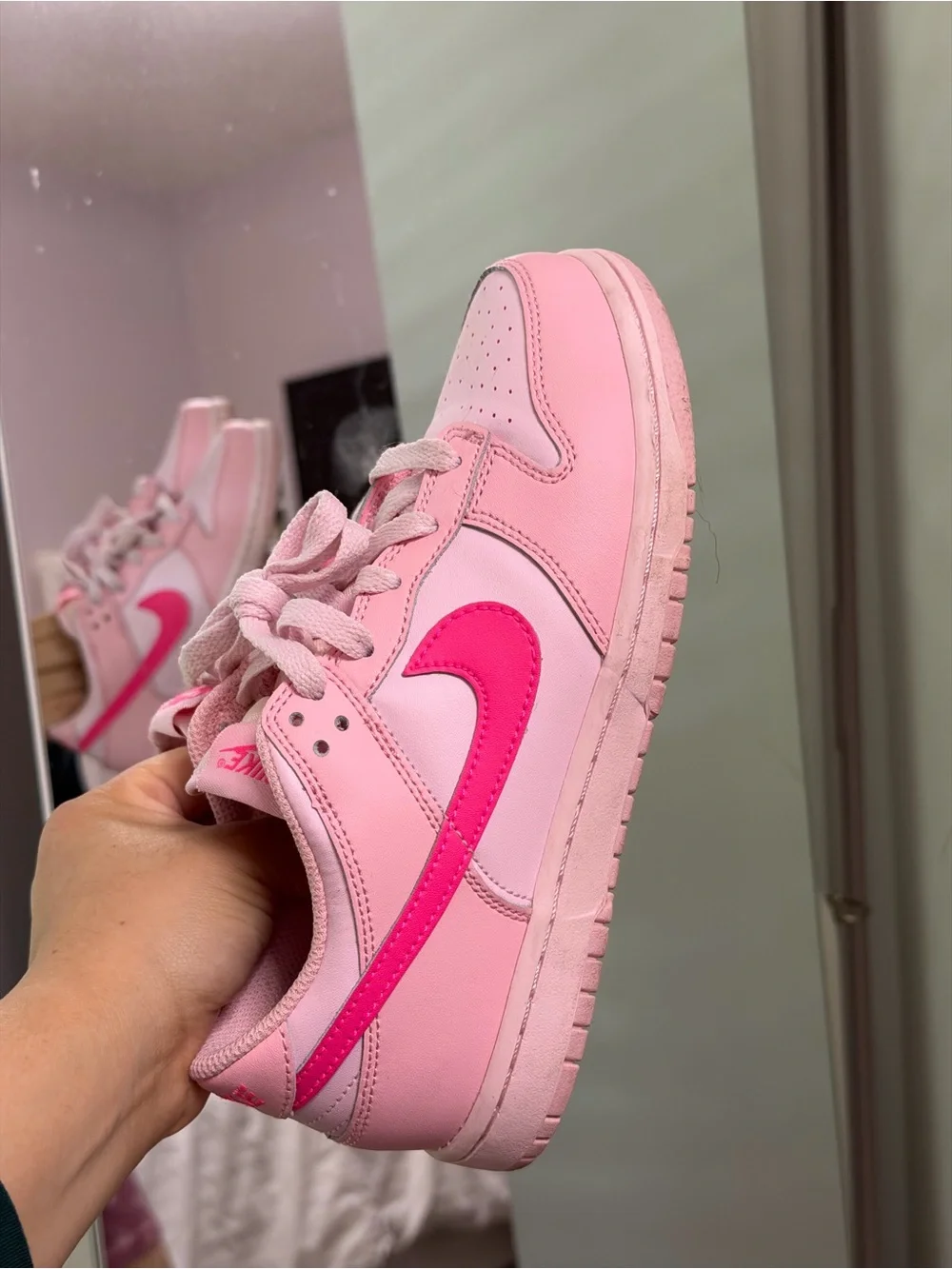 Nike Light Pink and Hot Pink Low-Top Sneakers